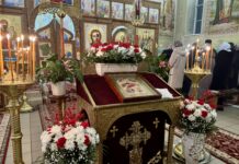 🎄 РІЗДВО ХРИСТОВЕ В ХУСТІ: СВЯТКОВЕ БОГОСЛУЖІННЯ У ХРАМІ НА ЧЕСТЬ НЕРУКОТВОРНОГО СПАСА✨